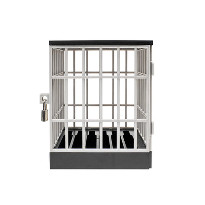 Phone Jail Lock